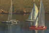 REGATE_1.JPG (20316 octets)